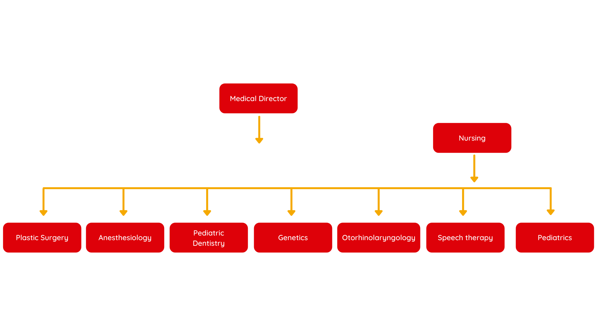Organigrama Funcional